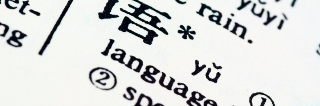 Do You Know How to Ready Your Text for Translation?