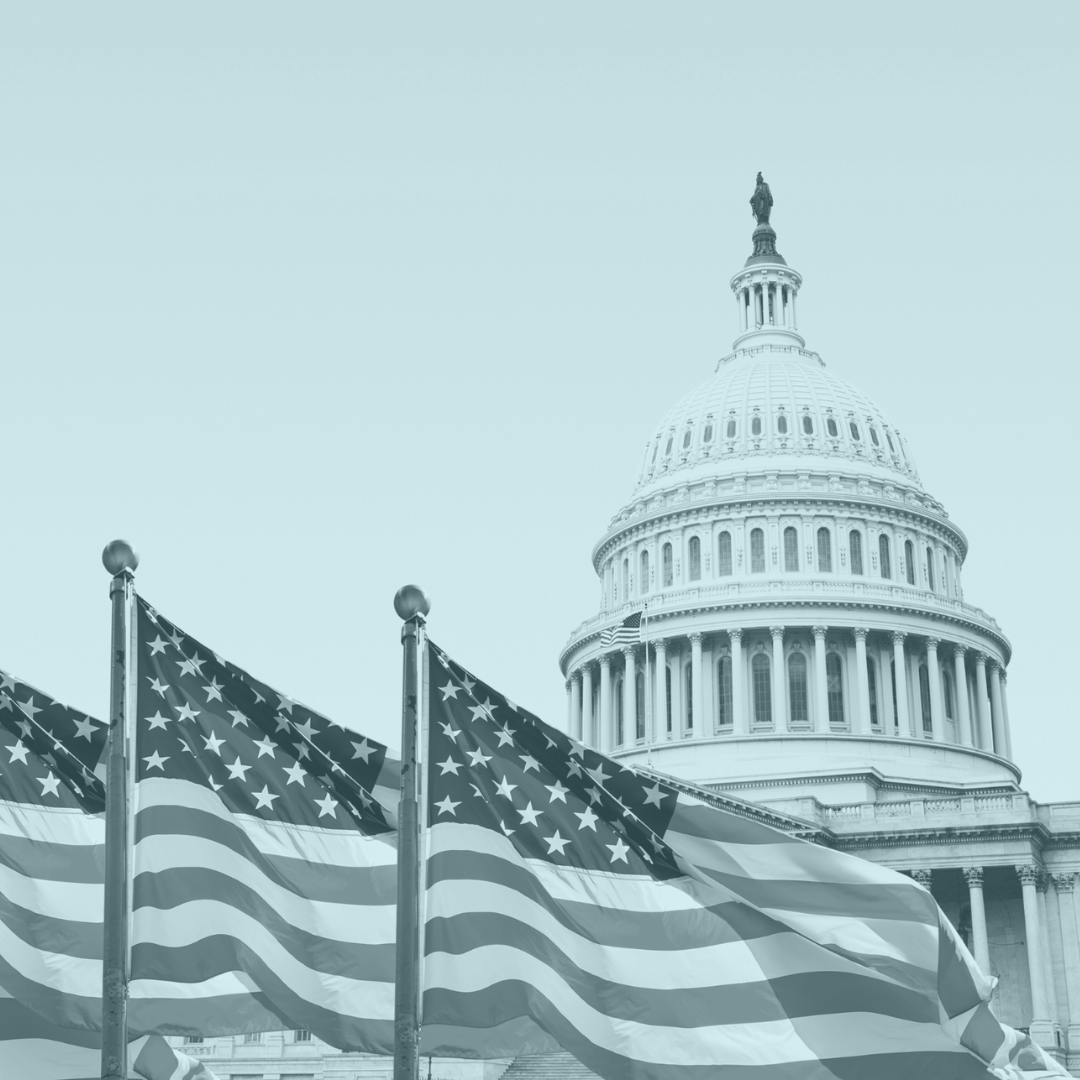 Elections photo of a government building and american flags