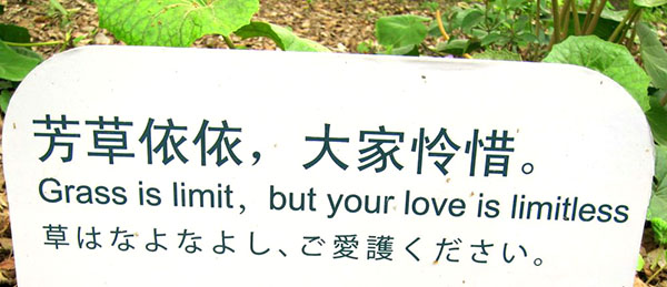 English translation fail for "please take care of the plants"